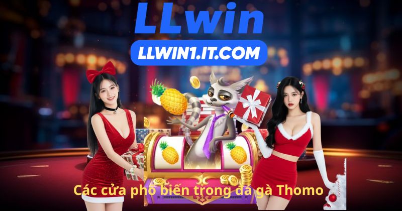 Các cửa phổ biến trong đá gà Thomo