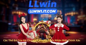 Các Thế Đá Của Gà Chọi Căn Bản Và Cách Nhận Biết Chính Xác