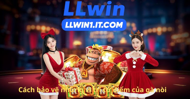 Cách bảo vệ những vị trí tử điểm của gà nòi