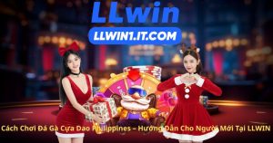 Cách Chơi Đá Gà Cựa Dao Philippines – Hướng Dẫn Cho Người Mới Tại LLWIN
