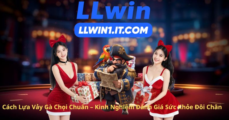 Cách Lựa Vảy Gà Chọi Chuẩn – Kinh Nghiệm Đánh Giá Sức Khỏe Đôi Chân