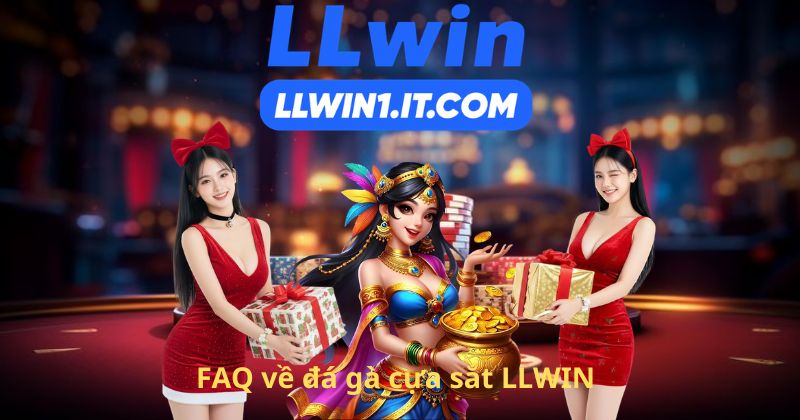 FAQ về đá gà cựa sắt LLWIN
