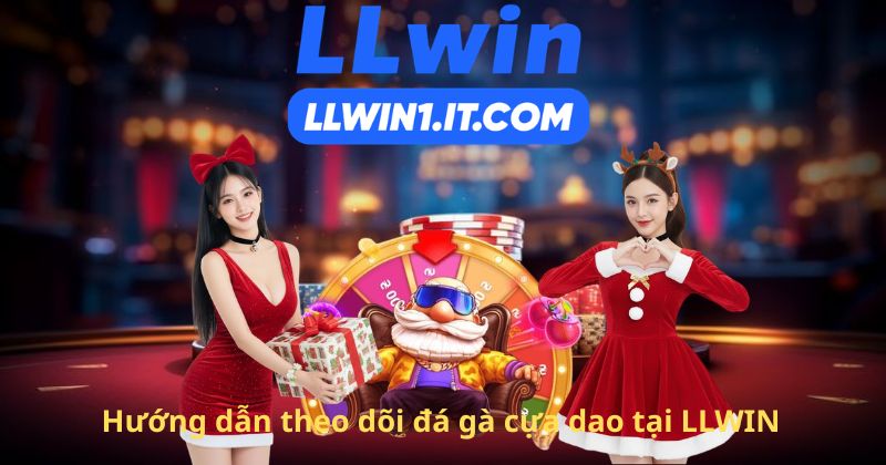Hướng dẫn theo dõi đá gà cựa dao tại LLWIN