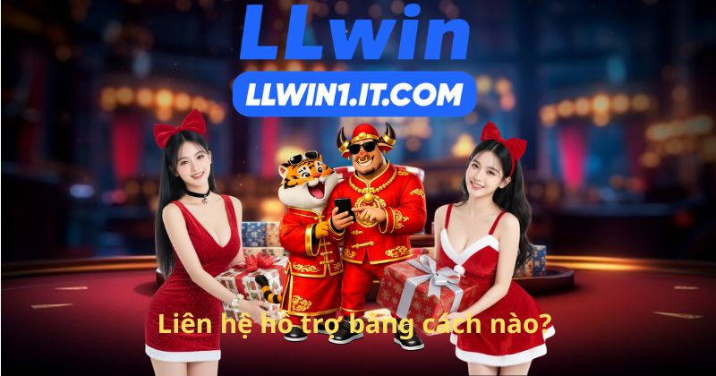 Liên hệ hỗ trợ bằng cách nào?