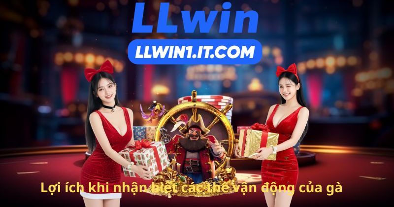 Lợi ích khi nhận biết các thế vận động của gà