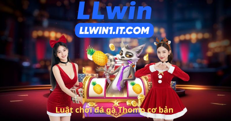 Luật chơi đá gà Thomo cơ bản